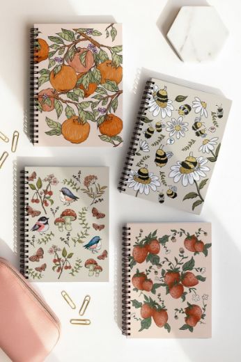 Meyveli 4'lü Okul Defter Seti resmi