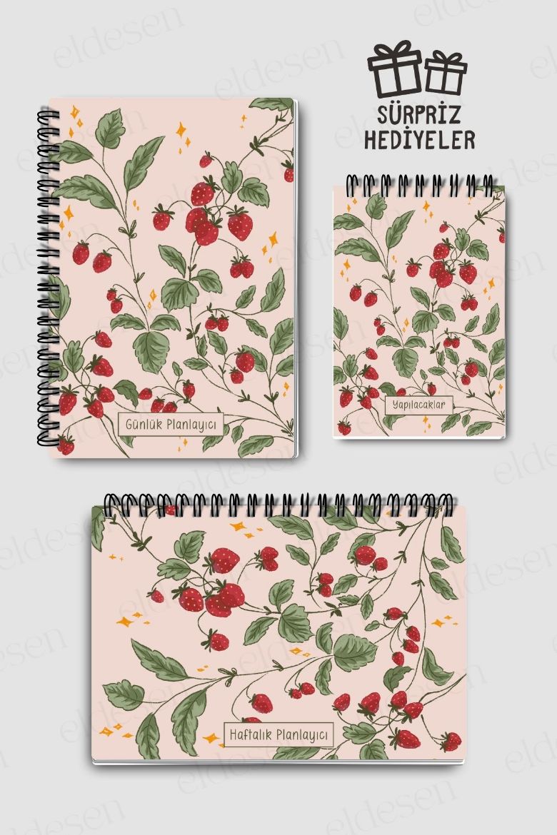 Pembe Çilek 3'lü Planlama Seti resmi