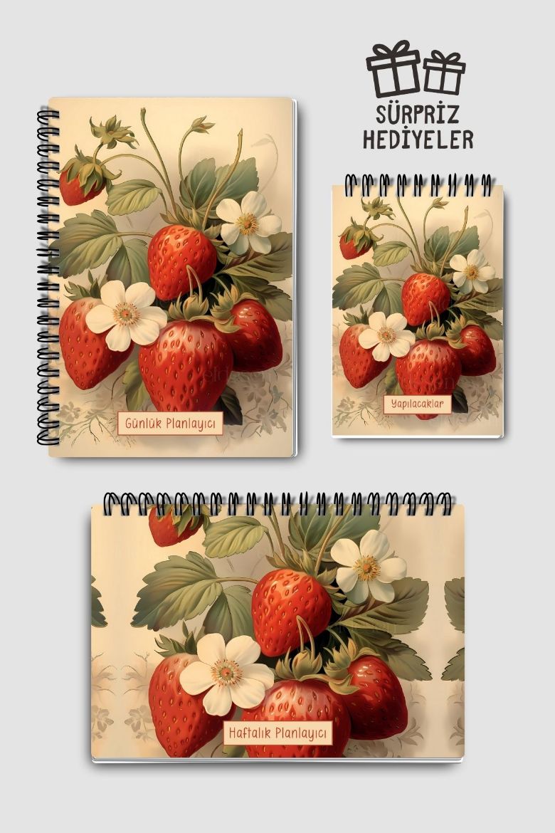 Açık Çilekli 3'lü Planlama Seti resmi