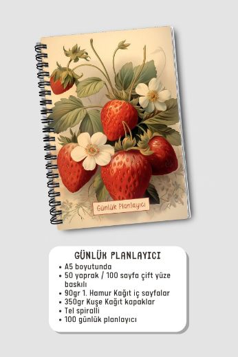 Açık Çilekli 3'lü Planlama Seti resmi