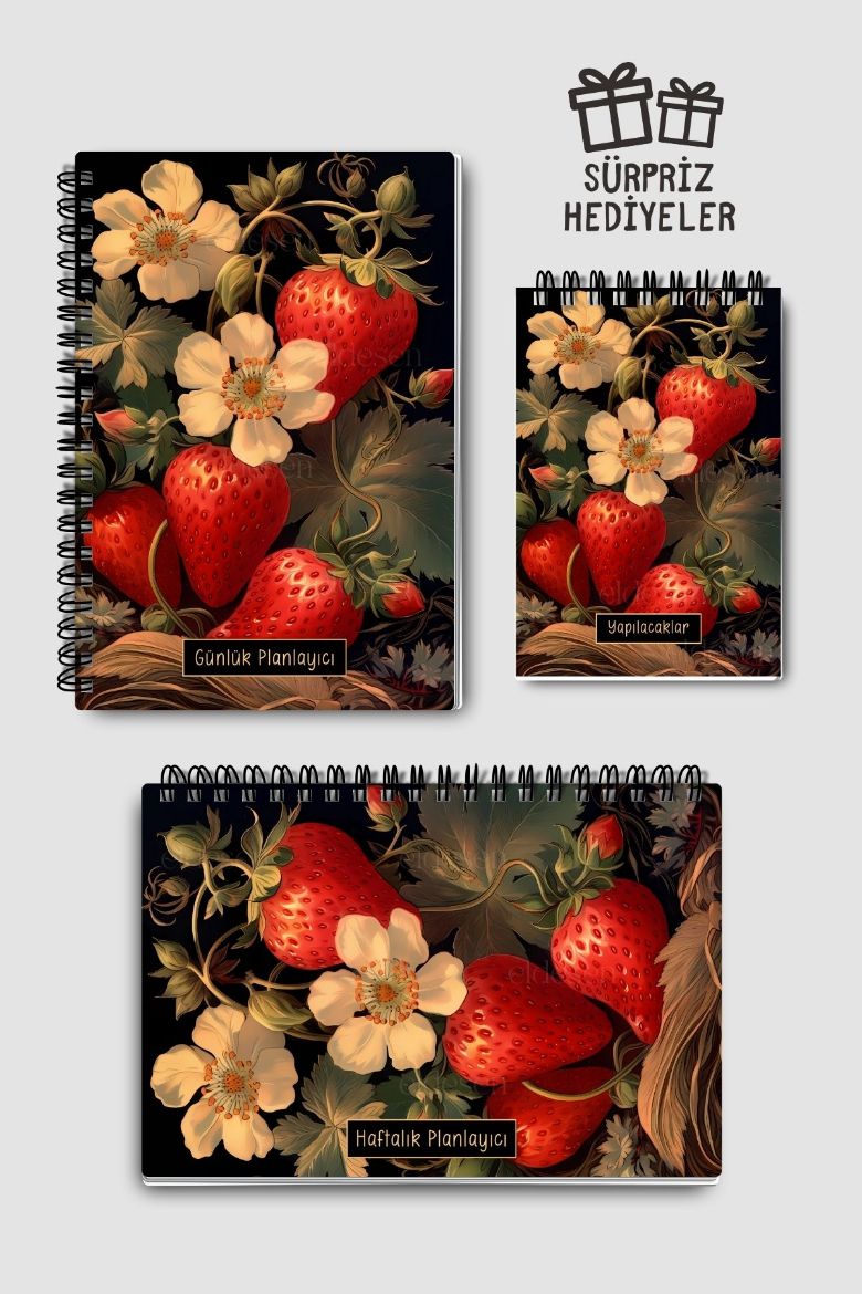 Koyu Çilek 3'lü Planlama Seti resmi