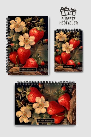 Koyu Çilek 3'lü Planlama Seti resmi