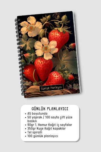 Koyu Çilek 3'lü Planlama Seti resmi