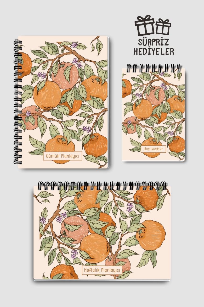 Portakallı 3'lü Planlama Seti resmi