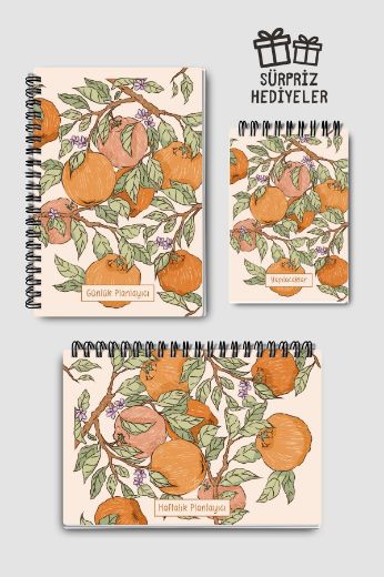 Portakallı 3'lü Planlama Seti resmi