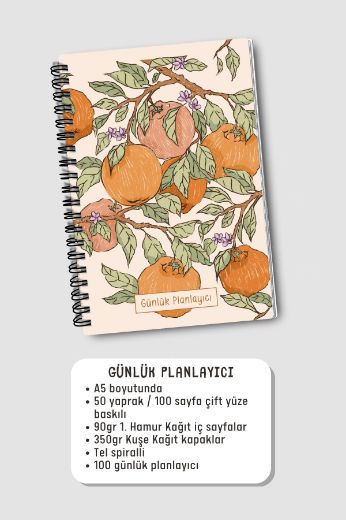 Portakallı 3'lü Planlama Seti resmi