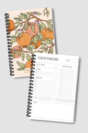 Portakallı 3'lü Planlama Seti resmi