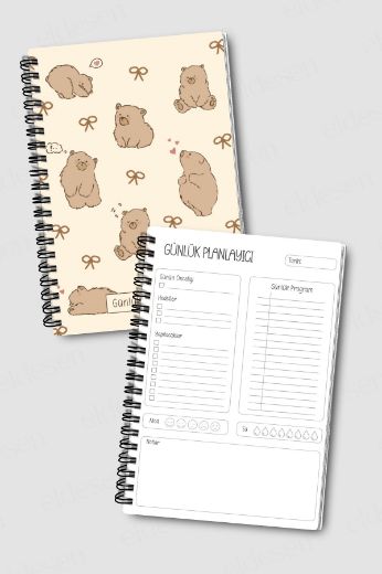 Boz Ayılı 3'lü Planlama Seti resmi